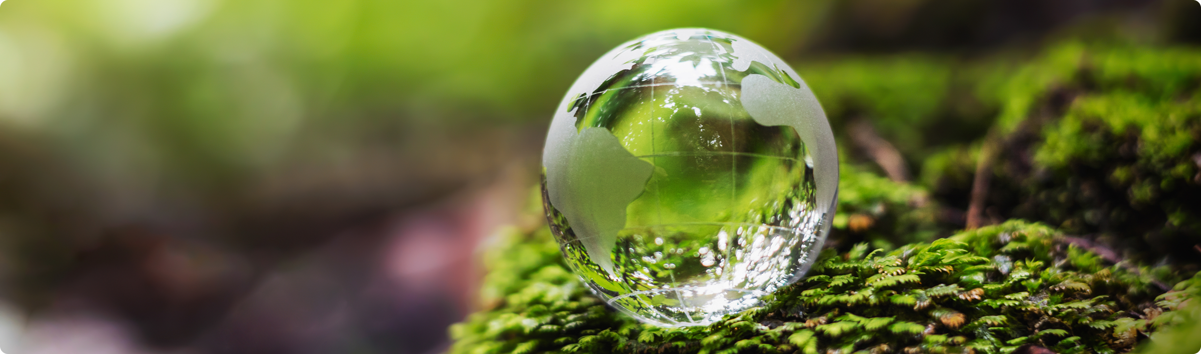 Environment Management