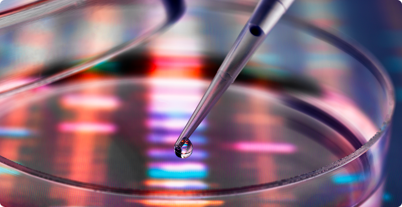 핵심 역량 및 비전